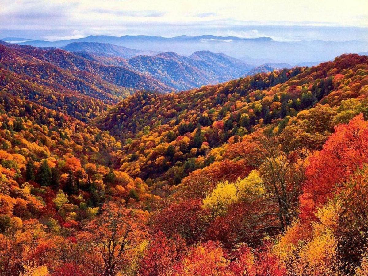 Wow Views!!-Mountain Escape-Outdoor Pool-Close To Downtown-Wifi-Cable-Private Balcony Gatlinburg Bagian luar foto